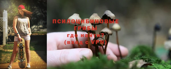 прущие крисы Арсеньев