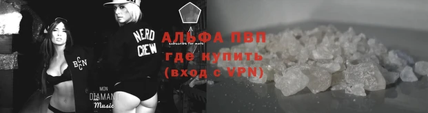 apvp Алексин